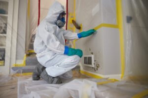 Drywall and Painting