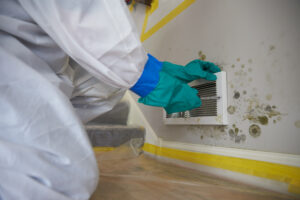 commercial mold remediation
