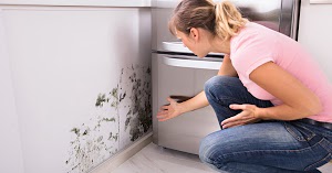 Mold remediation