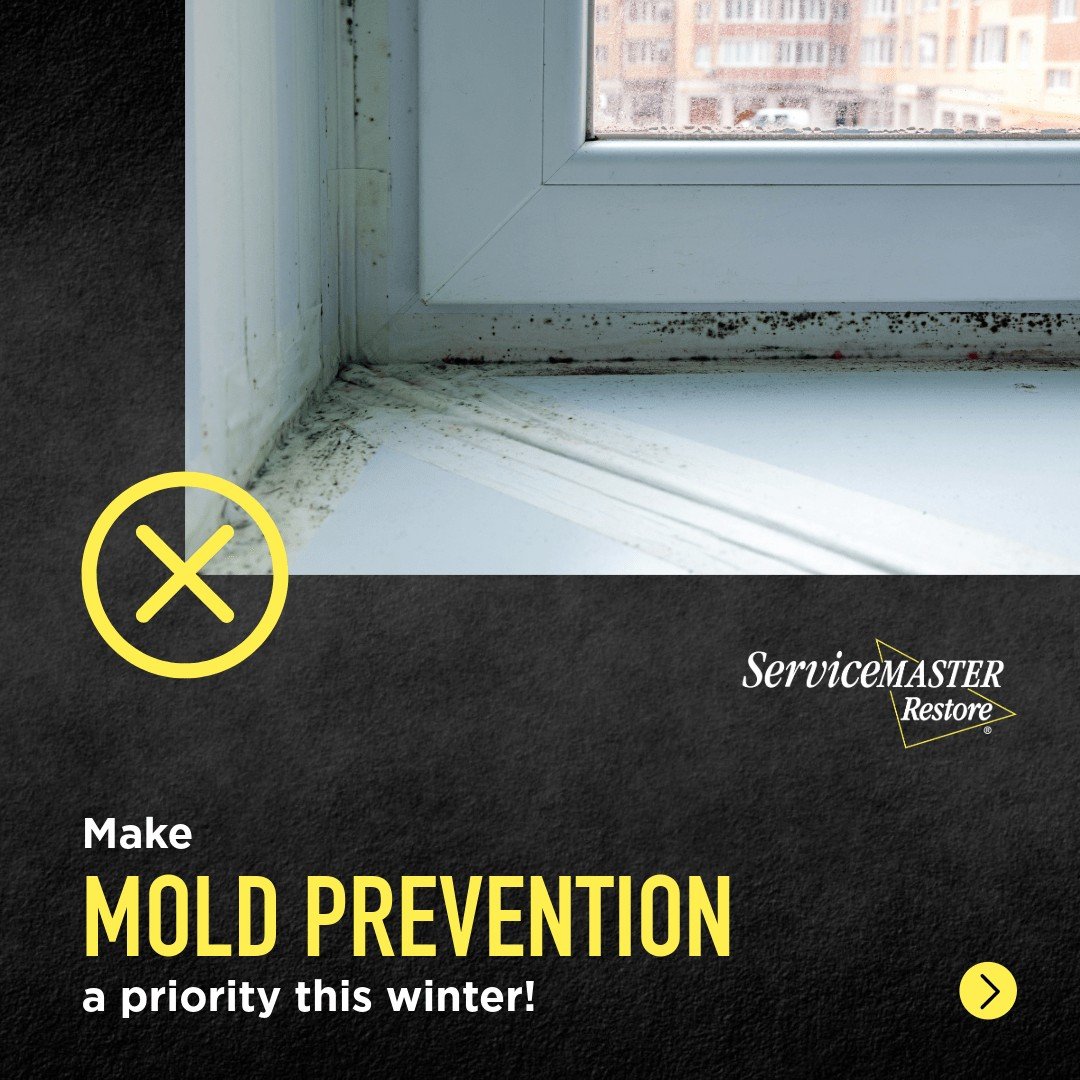Mold Prevention and removal